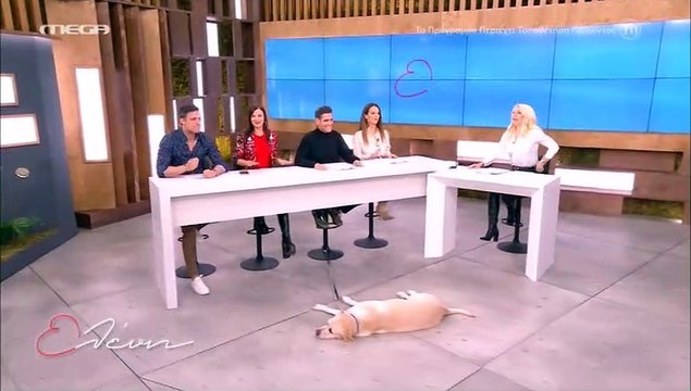 Ελένη Μενεγάκη: Είδε την Λαούρα στο πλατό και δεν την αναγνώρισε: «Δεν της είπα ούτε γεια, δεν την γνώρισα»