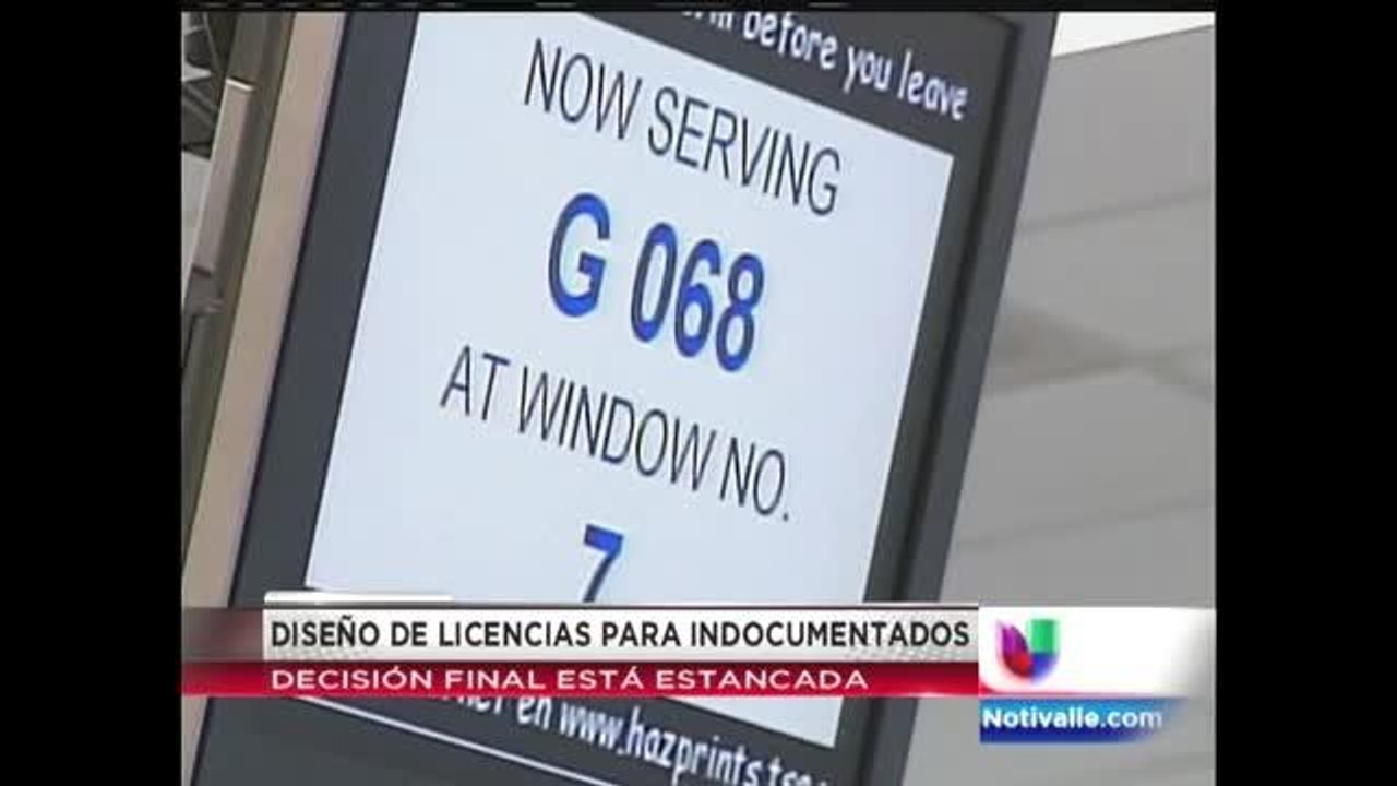 Diseño de licencias para indocumentados