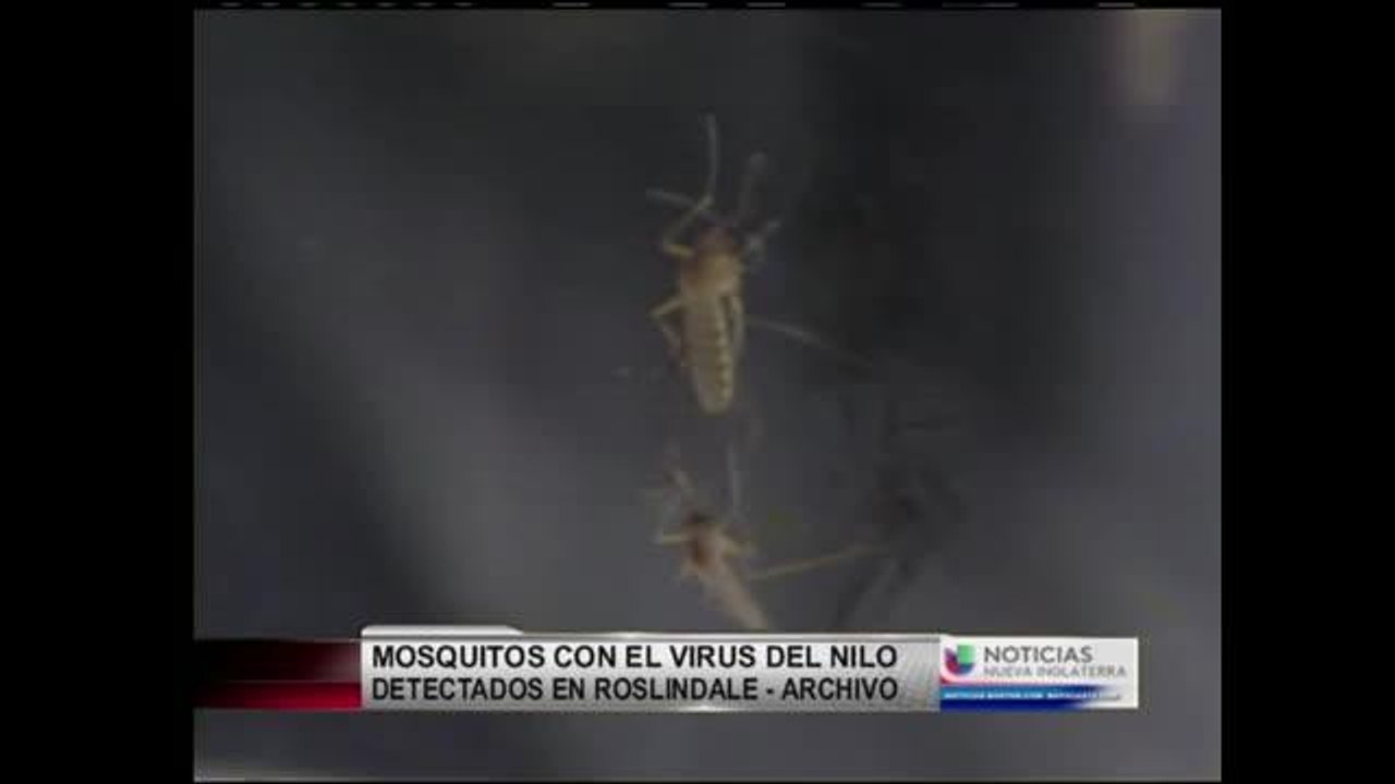 Virus del Nilo