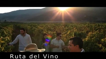 Fiestas de la Vendimia