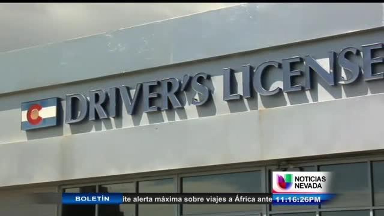 Indocumentados podrán tramitar licencia de conducir