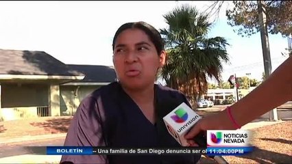 Ataque de un enjambre de abejas