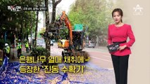 [팩트맨]은행 열매 악취, 사라졌다?