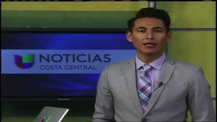 Segundo caso de psílido asiático de los cítricos en el condado de San Luis Obispo