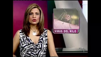 Boston: Alerta por virus del Nilo