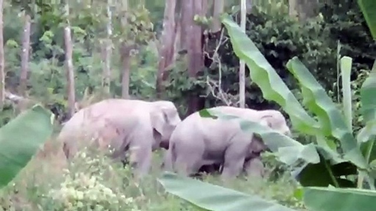 จันทบุรี