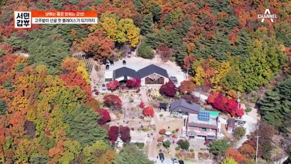 이 곳의 또 다른 매력은 불멍? 이국적인 텍사스 바비큐와 캠핑의 낭만을 함께 즐길 수 있는 핫플레이스