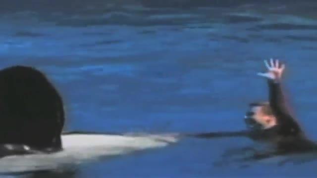 SeaWorld ampliará hábitat de orcas