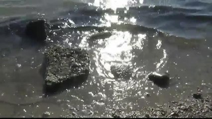 Aviso de bacteria en las playas