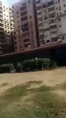 فيديو طفل يقلد لعبة شهيرة بالركض فوق قطار متحرك