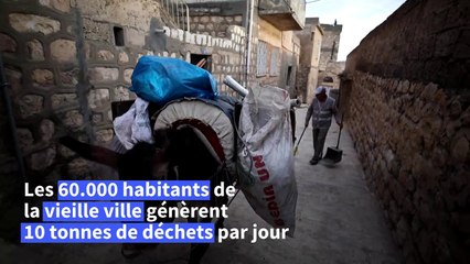 En Turquie, la ville de Mardin emploie des ânes pour ramasser les ordures
