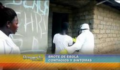 Detalles sobre la enfermedad del ébola (parte 1)
