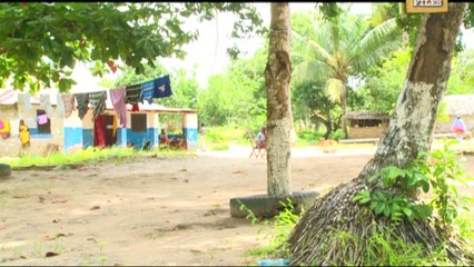 Case files: The last dance