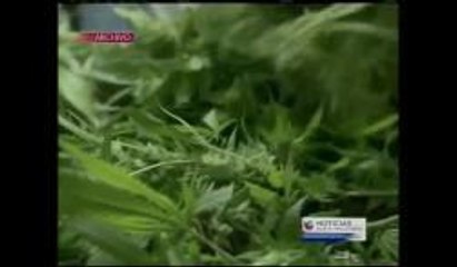 Connecticut: Abre primer dispensario de Prime Wellness