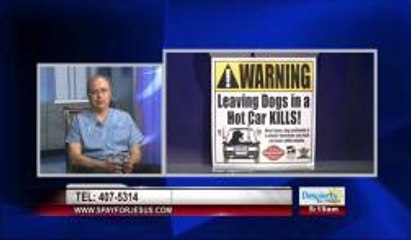 DIA NACIONAL DEL PERRO Y CUIDADO DE MASCOTAS