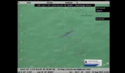 Avistamiento de tiburón