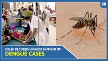 Delhi Records Highest Number Of Dengue Cases In 6 Years