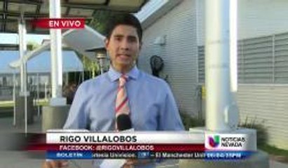 El albergue de animales de Las Vegas ya está lleno