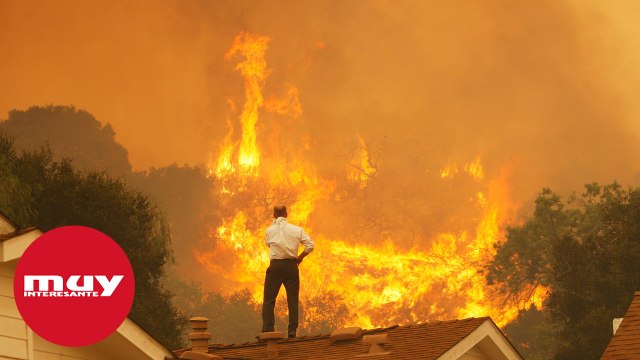 El cambio climático ya afecta al 85% de la humanidad