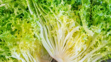 8 Propiedades y Beneficios de la Escarola ✅