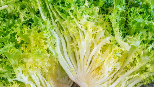 8 Propiedades y Beneficios de la Escarola ✅