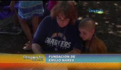 Fundación Emilio Nares