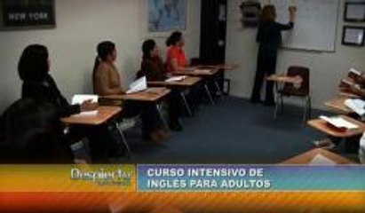 Curso intesivo de Inglés para adultos