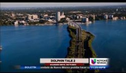 La Cartelera para el fin de semana