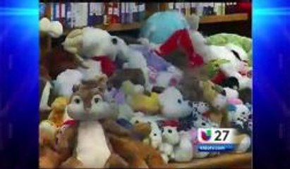 Colecta De Osos De Peluche