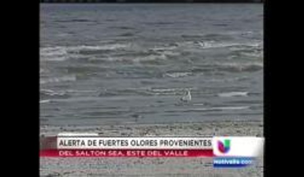 Emiten una alerta de malos olores provenientes del Salton Sea