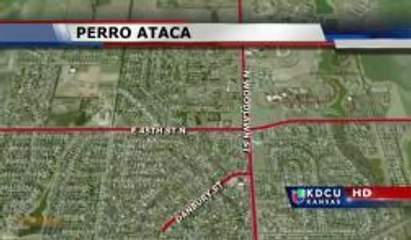 Bel Aire: Perro muerde a adolescente