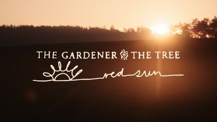 The Gardener & The Tree - red sun