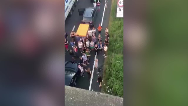 DOVER SINGING online.mov