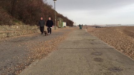 Dog warning after strange white deposits wash up on Kent beaches