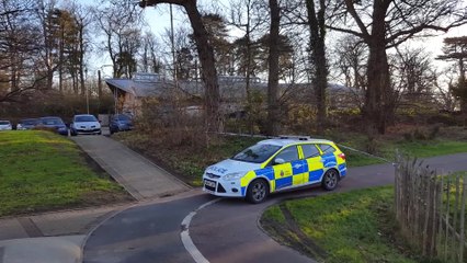 Sexual assault in alleyway reported