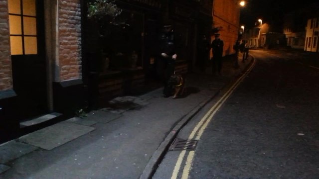 Police and sniffer dogs crack down on drugs