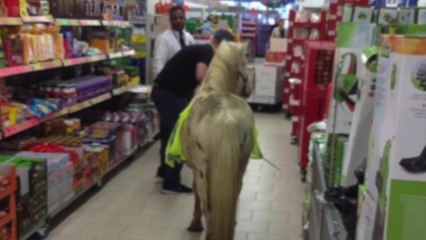 KMTV Bulletin - Tuesday 22 September