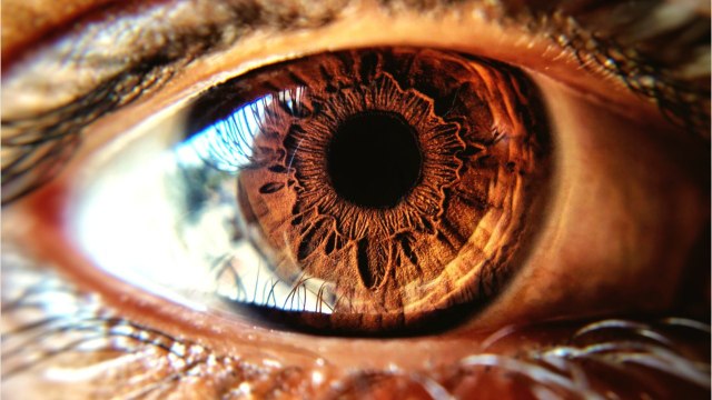 Un aveugle retrouve la vue grâce à un traitement innovant