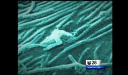 El BBB denunció fraudes en la ventas de medicamentos contra el Ébola