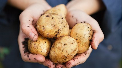 Alpes-Maritimes : attention à l'arnaque à la pomme de terre