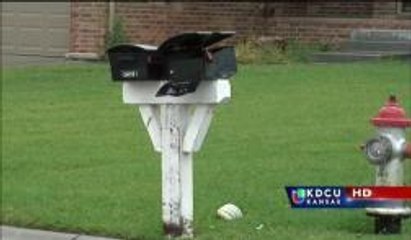 Wichita: Arrestan a 3 adolescentes por vandalismo