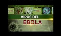 Ébola: Retienen 5 pasajeros del aeropuerto de Logan