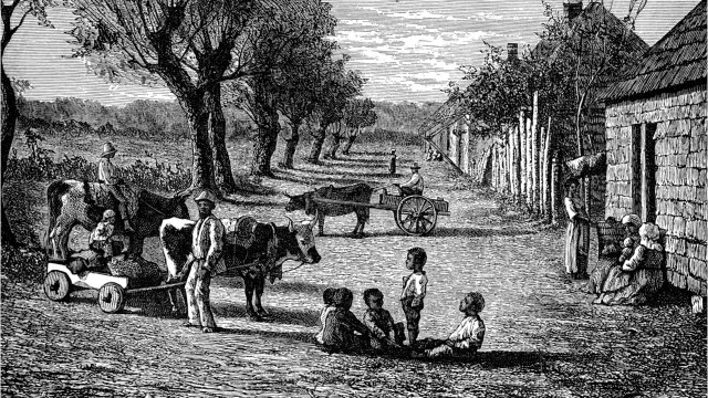 Vos ancêtres ont-ils possédé des esclaves ? Une base de données désormais en ligne