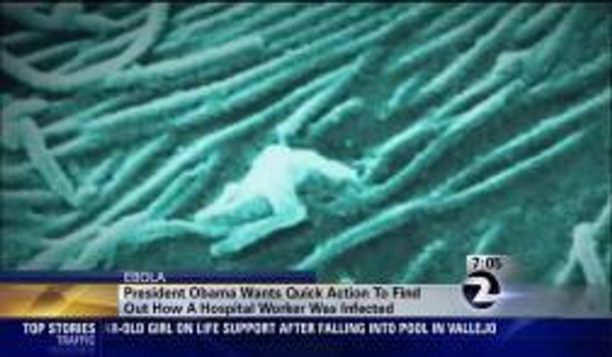 Ebola Concerns