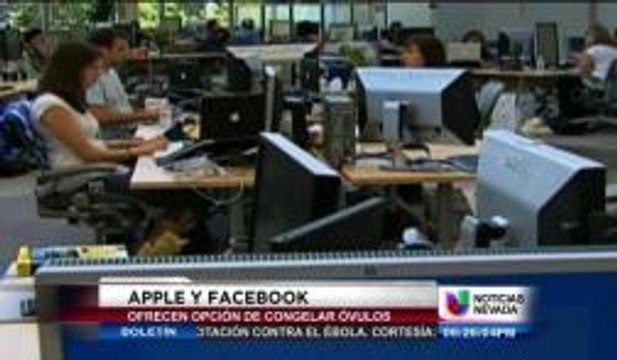Apple y Facebook ofrecen congelar óvulos de sus empleadas