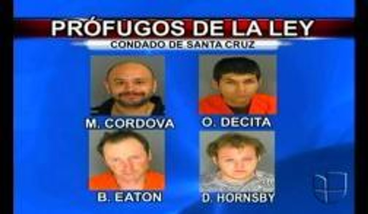 Los más buscados