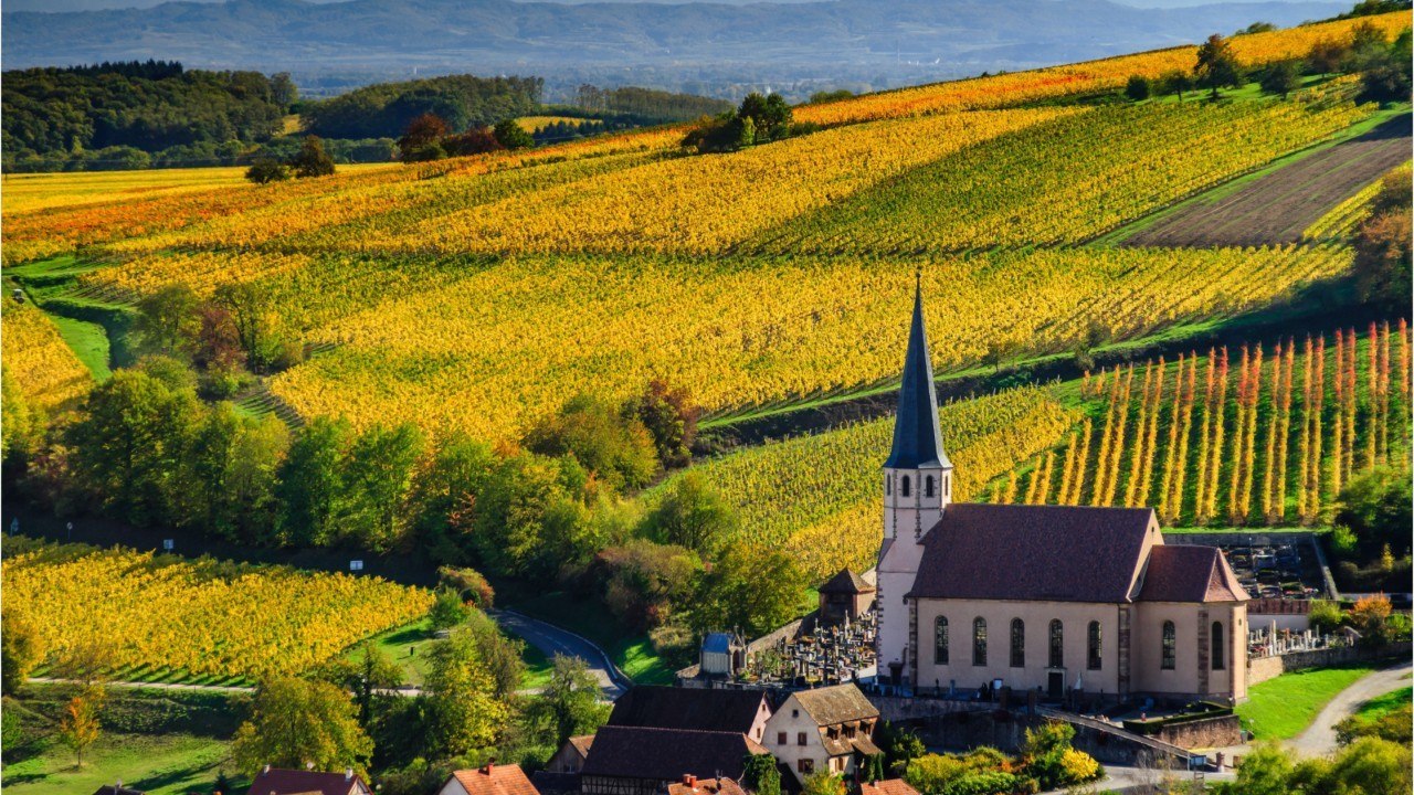 Forêts, vignes, maisons à la campagne : cette n...