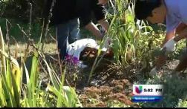Voluntarios participaron en un proyecto de embellecimiento en escuelas en Langley Park