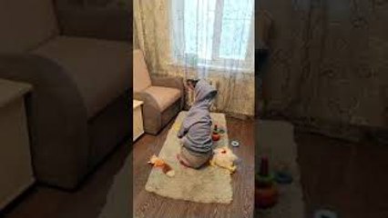 Renters Disguise Dog as Kid