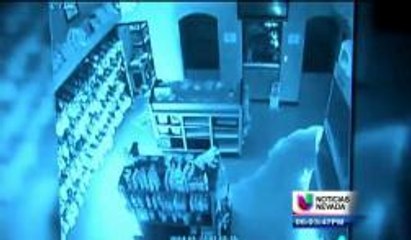 Mujer se Declara Culpable de Intento a Crueldad Animal Entre Otros Cargos